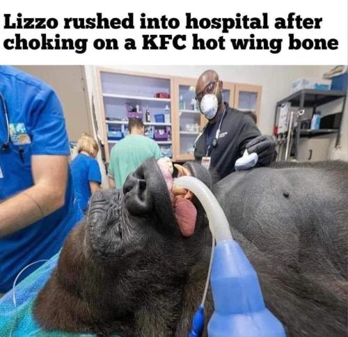 FB_IMG_1685554398096