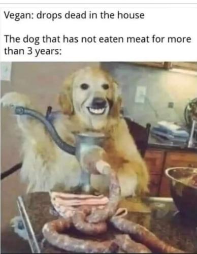 FB_IMG_1684444345513