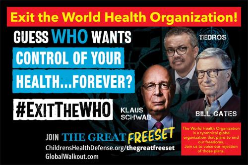 Santa Monica, California - May 20, 2023 - Exit the World Health Organization