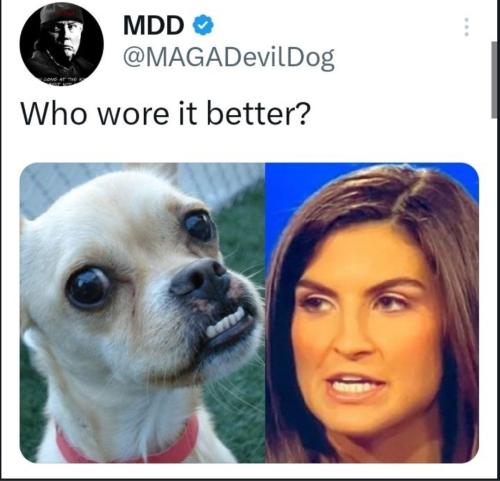 Screenshot_20230512_132333_Chrome