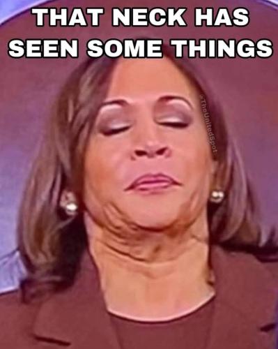 FB_IMG_1657382986980