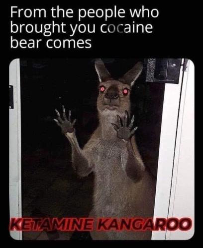 1683076358.156376
