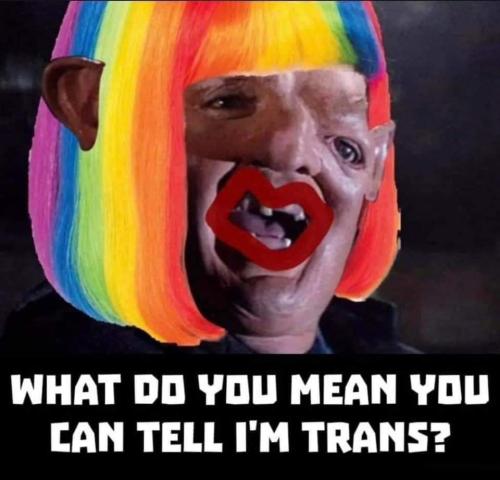 FB_IMG_1684762920688