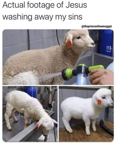 FB_IMG_1683199901572