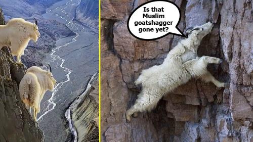 No more goat shaggers meme