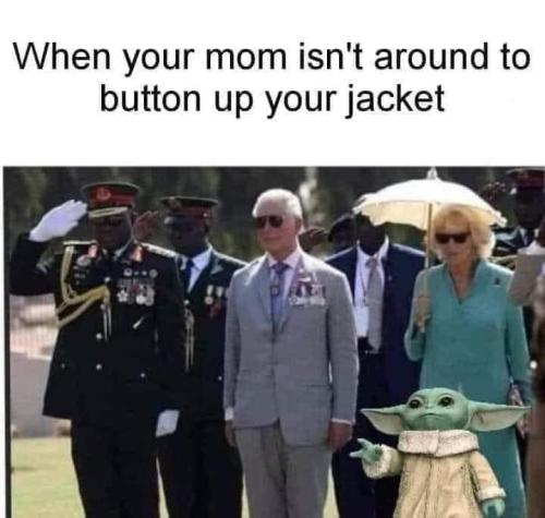 350104144_256732446912161_2175416557543782190_n