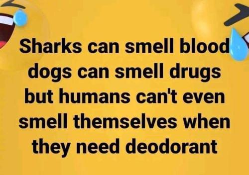 they need deodorant