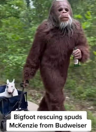 6d2b13460decdc87ddc2869aa041f688