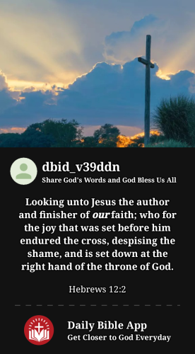 2023-05-011682994271852