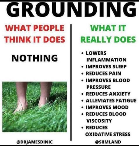 348220636_11787215027