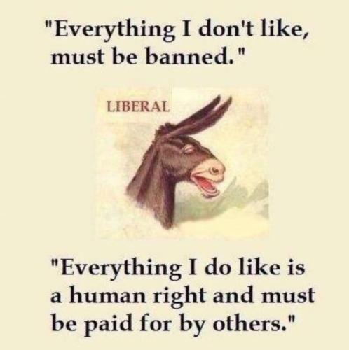 Screenshot_20230525_194211_Quora