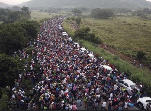 Screenshot_20230513_234856_Google