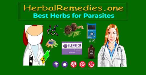! HerbalRemedies..one - Herbs for Parasites