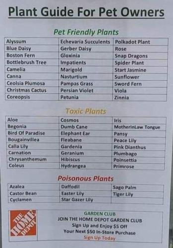 Plant guide