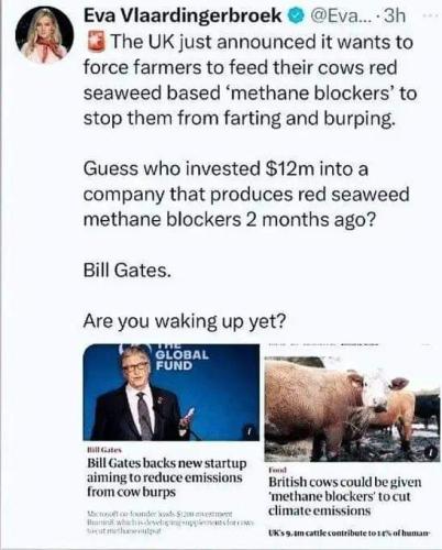 guess who invested
