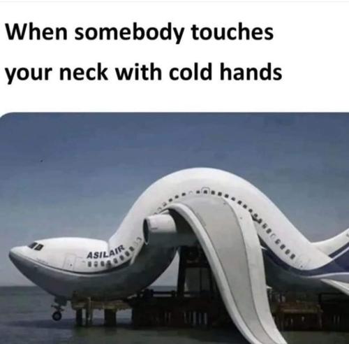 FB_IMG_1683145738877