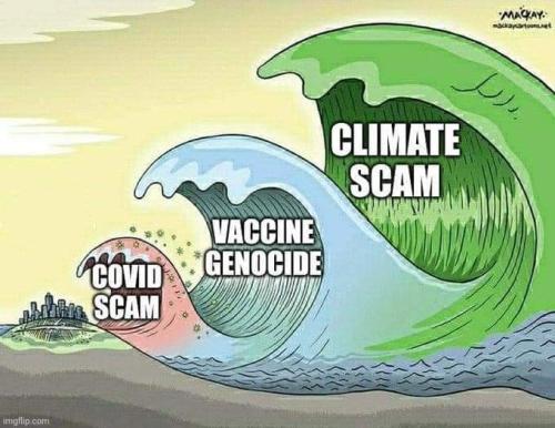 more scams