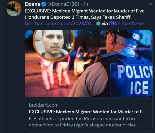 Illegals 1