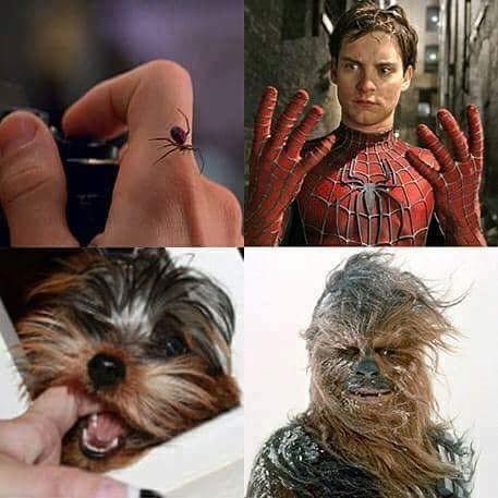 348268225_278790594505673_6791309305060980282_n