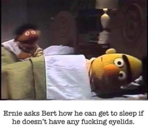 FB_IMG_1683651554165