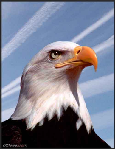 Screenshot_2023-05-13-20-59-41_kindlephoto-407878900