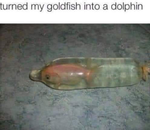 FB_IMG_1683055749672