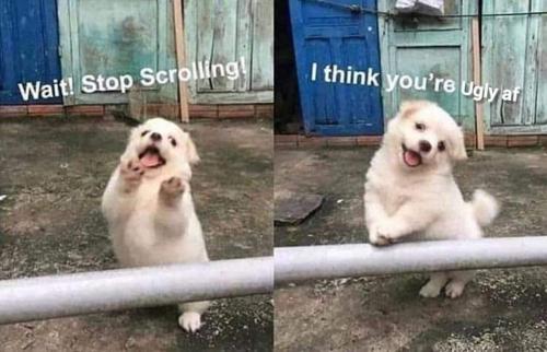 FB_IMG_1683825202578