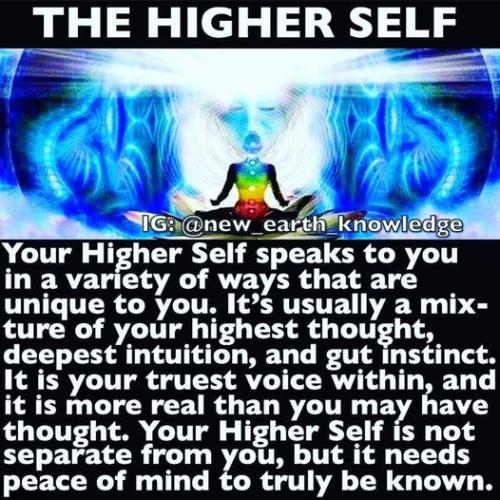 349917411_27462482496