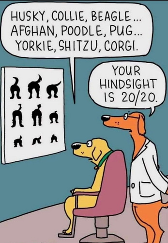 hindsite is 2020