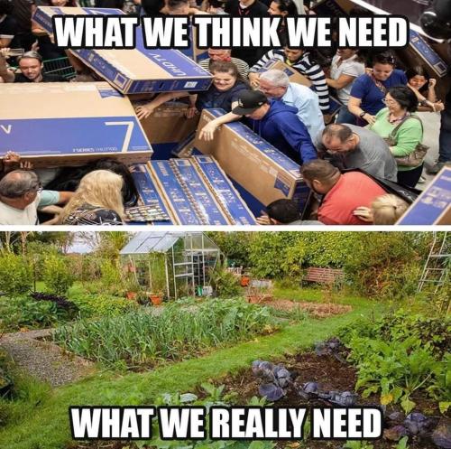 FB_IMG_1684008264391