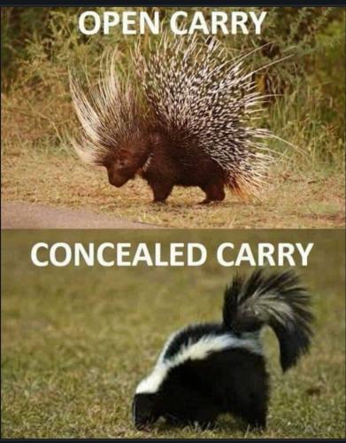 Screenshot_20230501_222943_Chrome