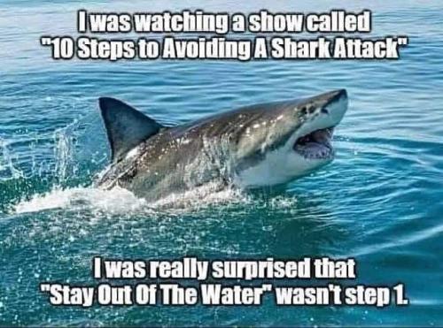 10 steps to avoid sharl attack