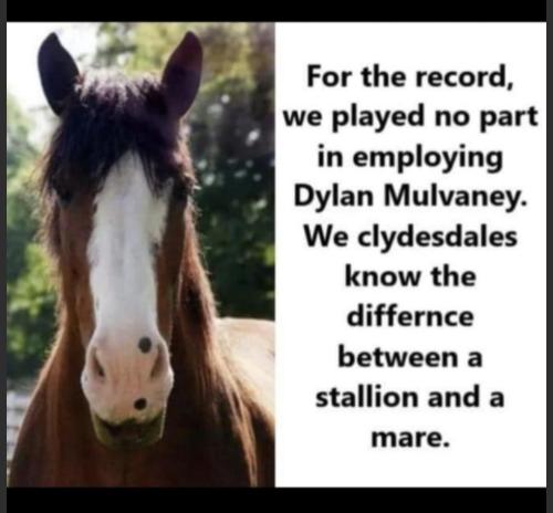 Screenshot_20230428-074810_MeWe