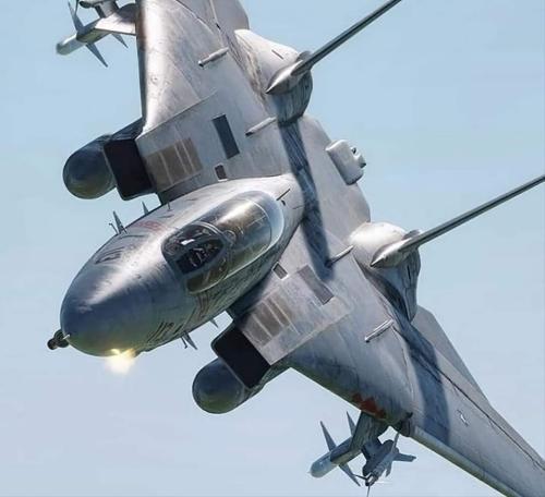 344558018_593161942781839_5676473312061066844_n