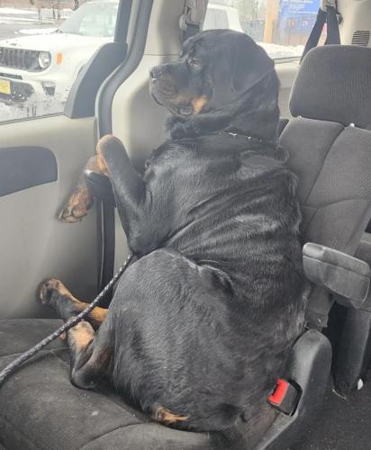 dbc5476e-47f4-4cc3-9436-588c8238bb28