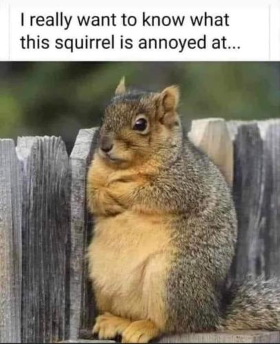 FB_IMG_1684530097053