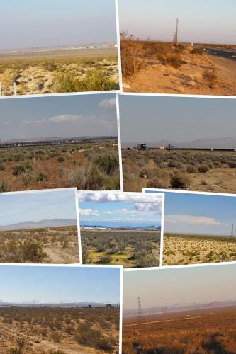 FB_IMG_1685289809352