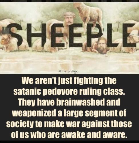 Screenshot_20230512_133504_Chrome