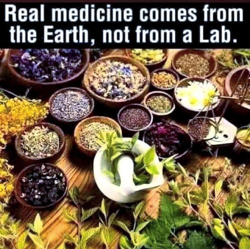 IMG_20230523_175709_956