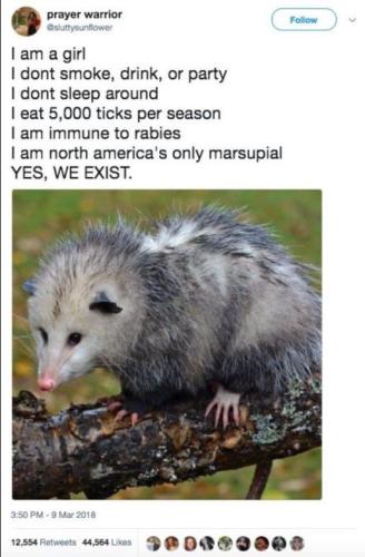 1683076303.930866