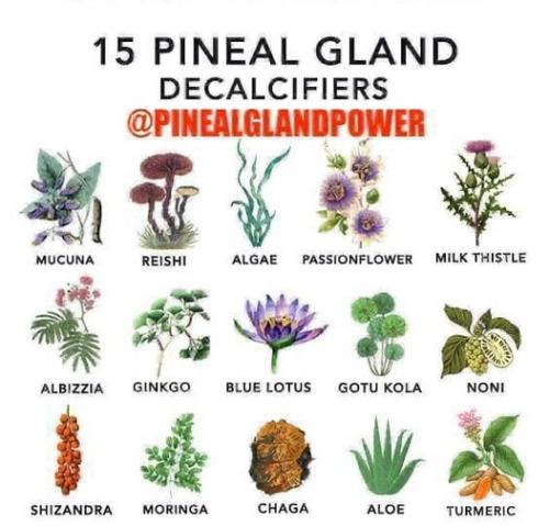 347624247_33099240659