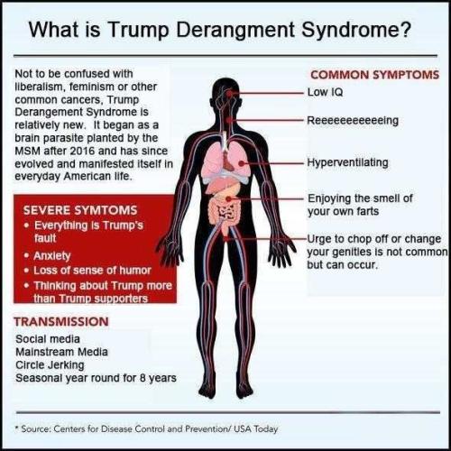 TDS 1