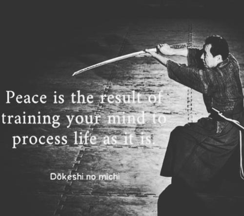 IMG_20230530_050522_481