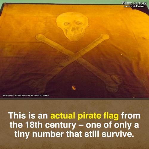1684011499.9458299