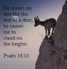 Psalm 18 33