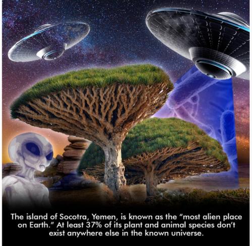 1683481643.7947888