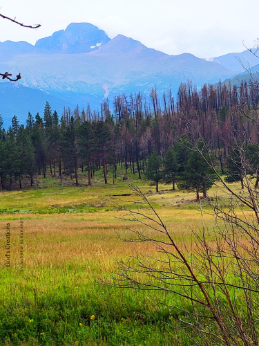 7_20230531_183817_0006