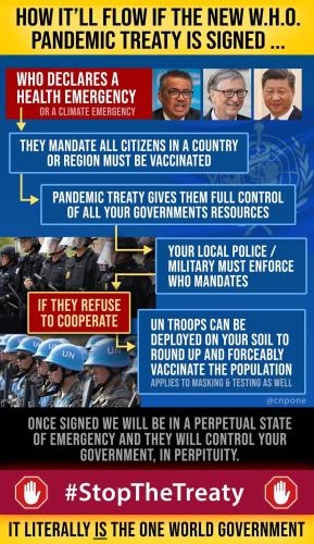world government