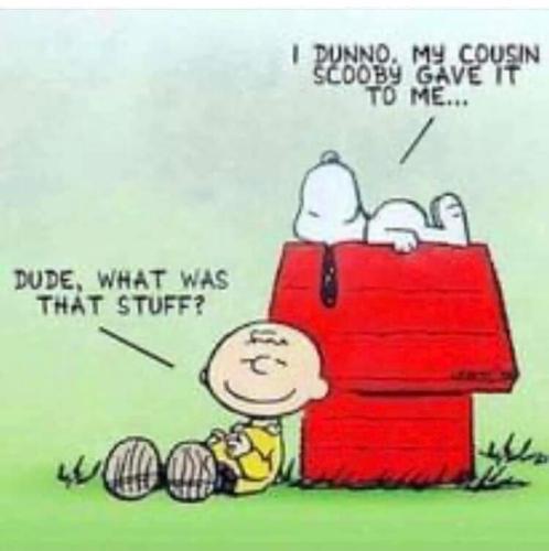 FB_IMG_1683688393723