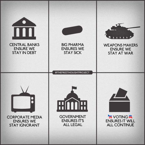 453153123123555521321